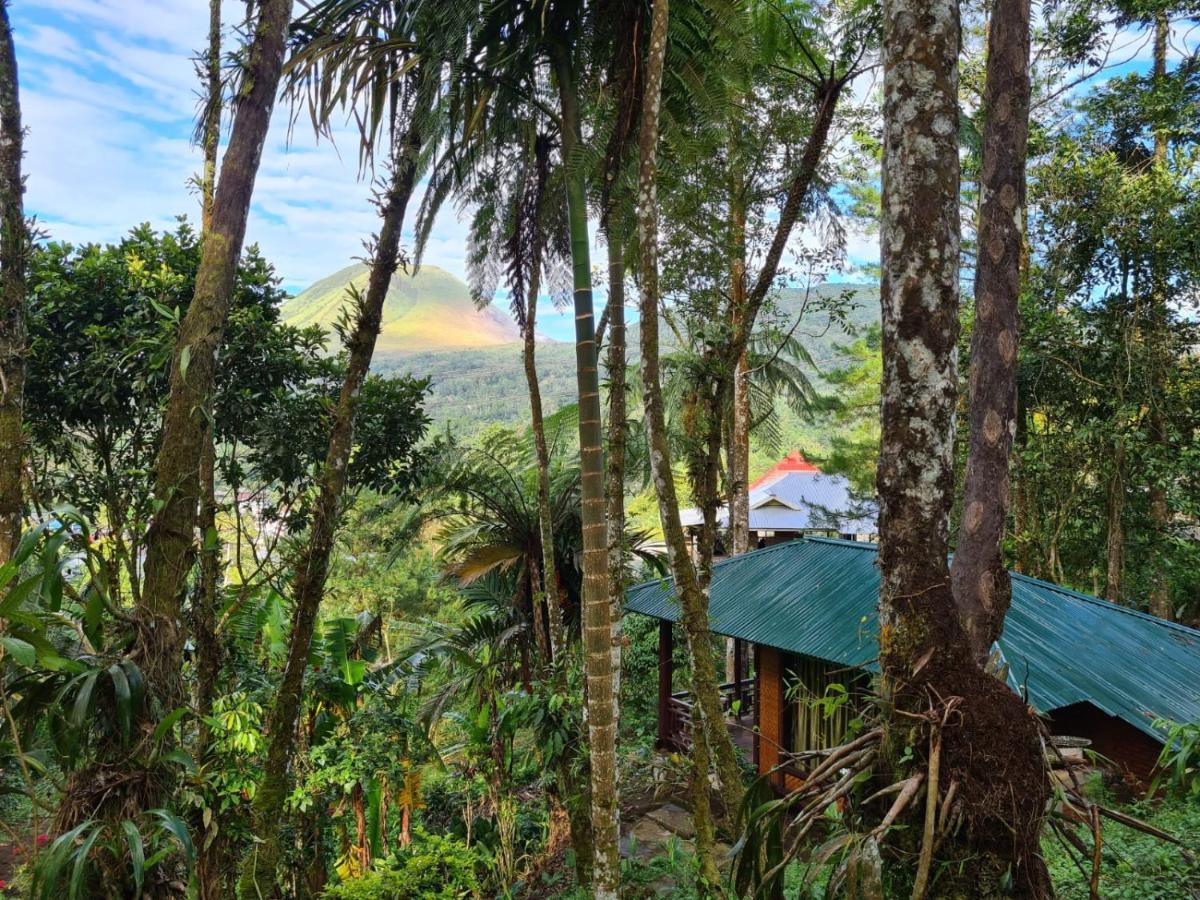 Rimba Eco Resort Tomohon Luaran gambar