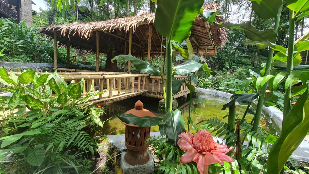 Rimba Eco Resort Tomohon Luaran gambar