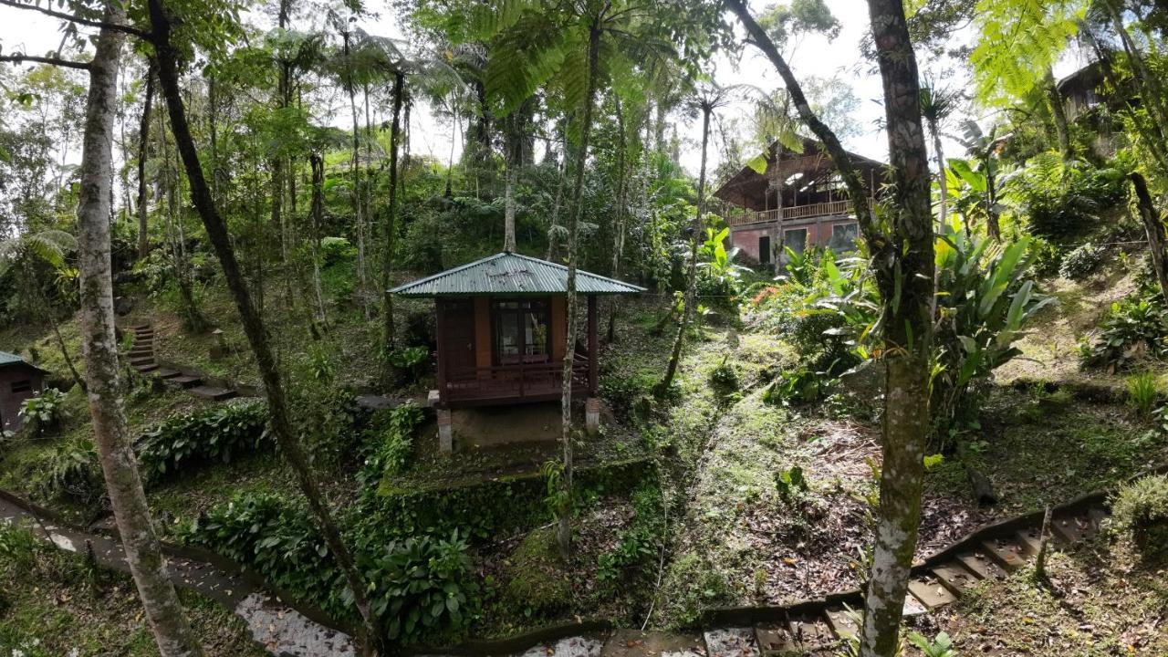Rimba Eco Resort Tomohon Luaran gambar