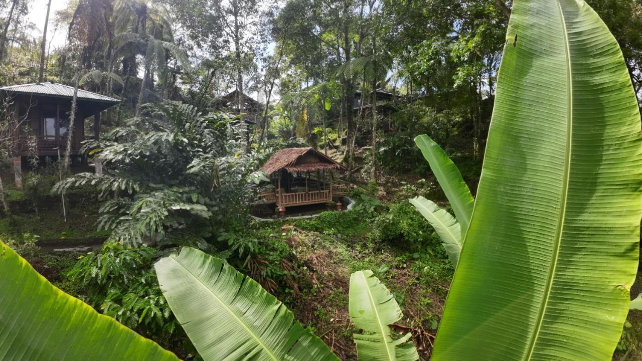 Rimba Eco Resort Tomohon Luaran gambar