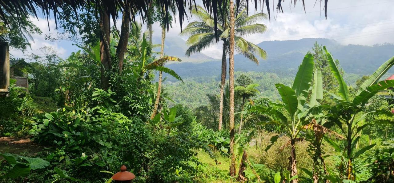 Rimba Eco Resort Tomohon Luaran gambar
