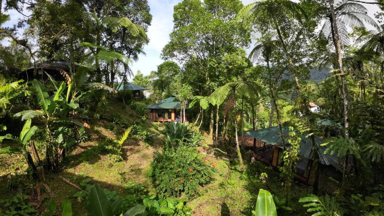 Rimba Eco Resort Tomohon Luaran gambar