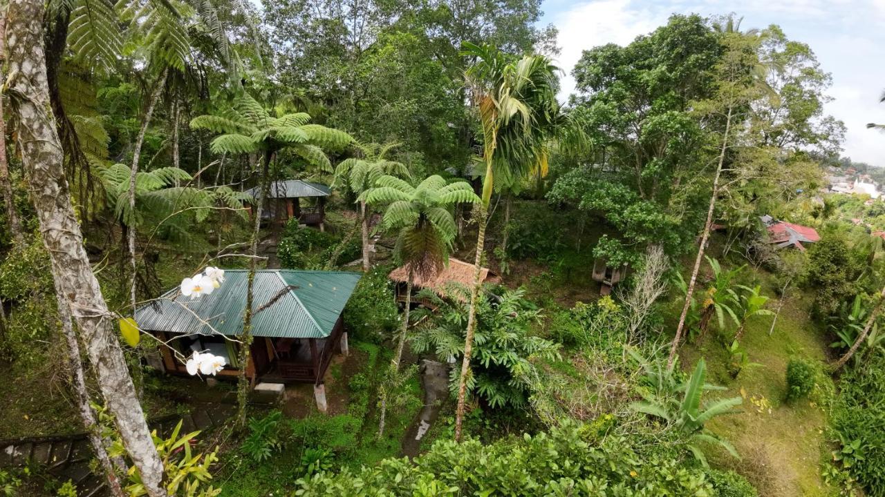 Rimba Eco Resort Tomohon Luaran gambar