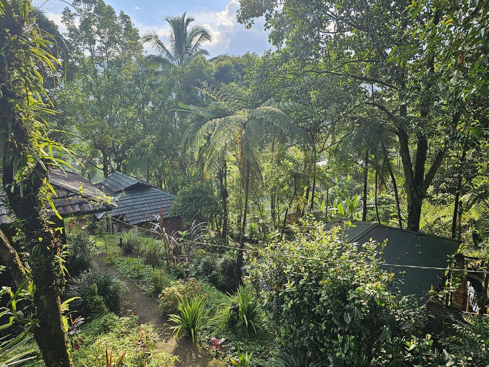 Rimba Eco Resort Tomohon Luaran gambar