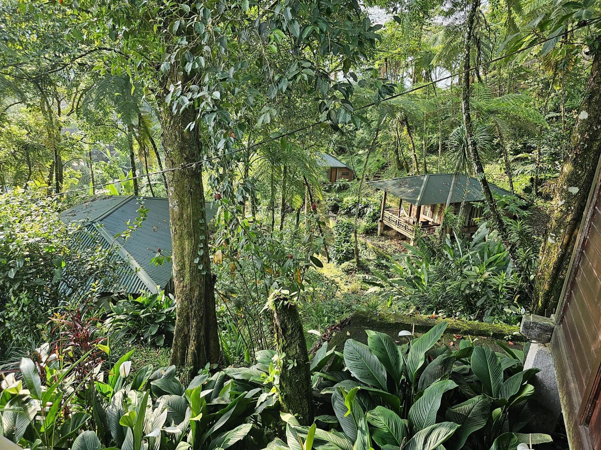 Rimba Eco Resort Tomohon Luaran gambar
